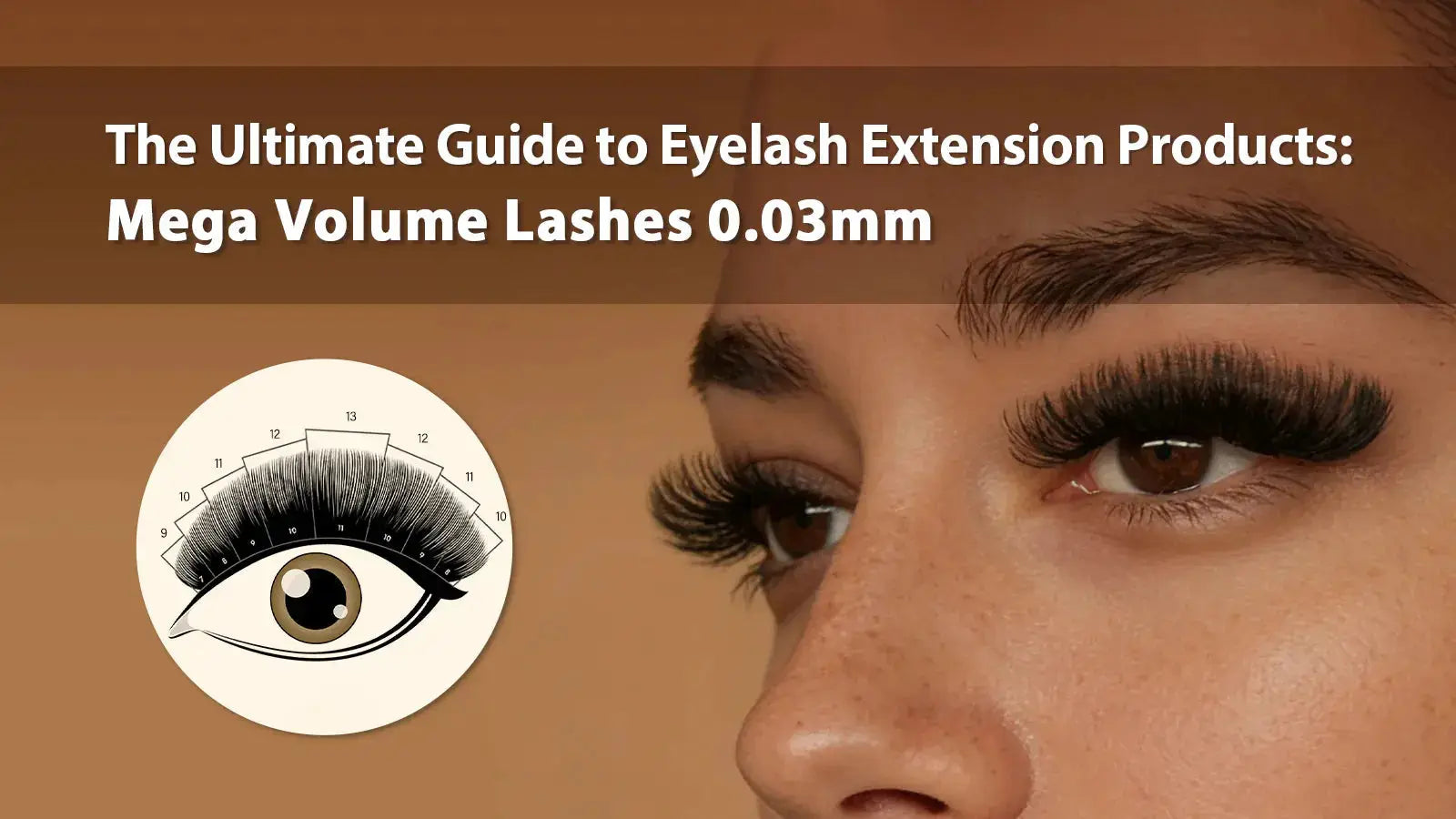 Mm Lashes Mega Volume Lashes 0.03mm: Complete Guide for Lash Artists โ Swaniyalashes