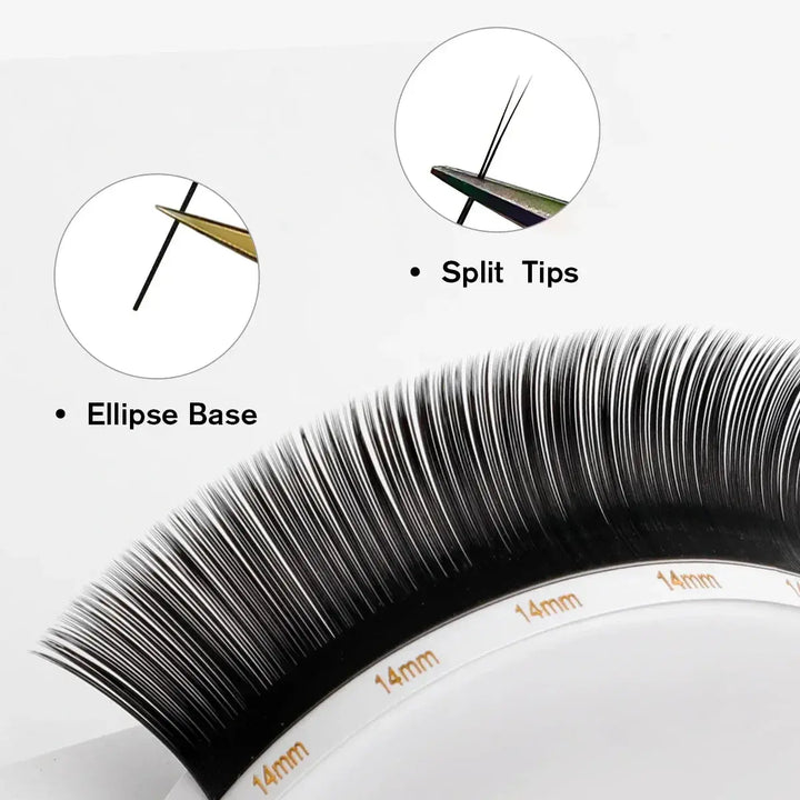 Ellipse Flat Lashes 0.20mm - Swaniyalashes