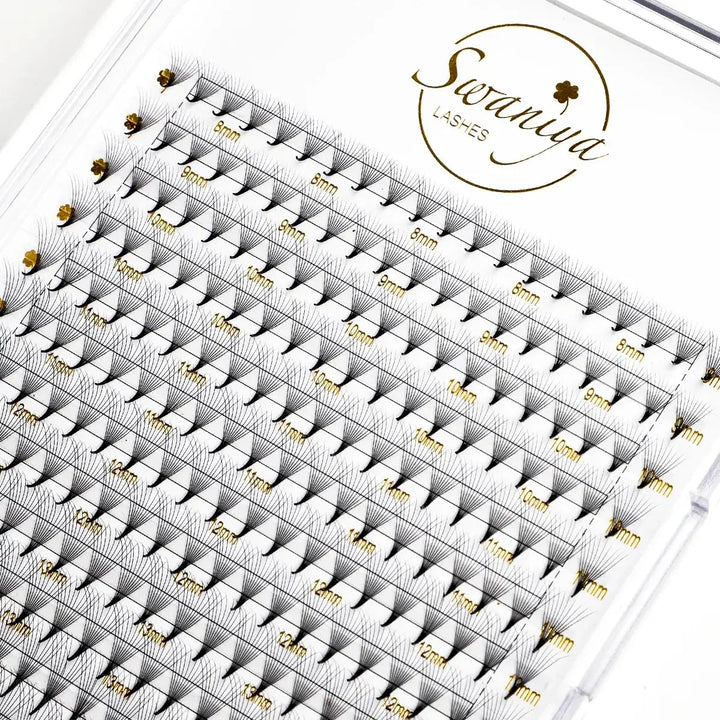 10D Premade Lashes (240 Fans) - Swaniyalashes