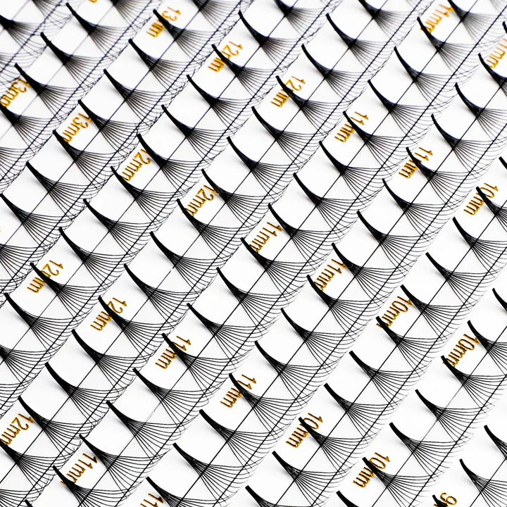 10D Premade Lashes (240 Fans) - Swaniyalashes