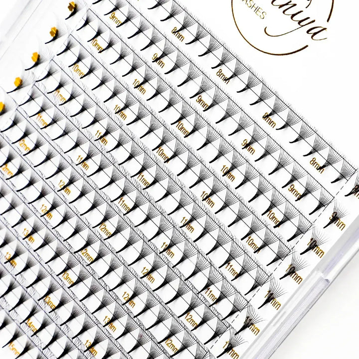 10D Premade Lashes (240 Fans) - Swaniyalashes