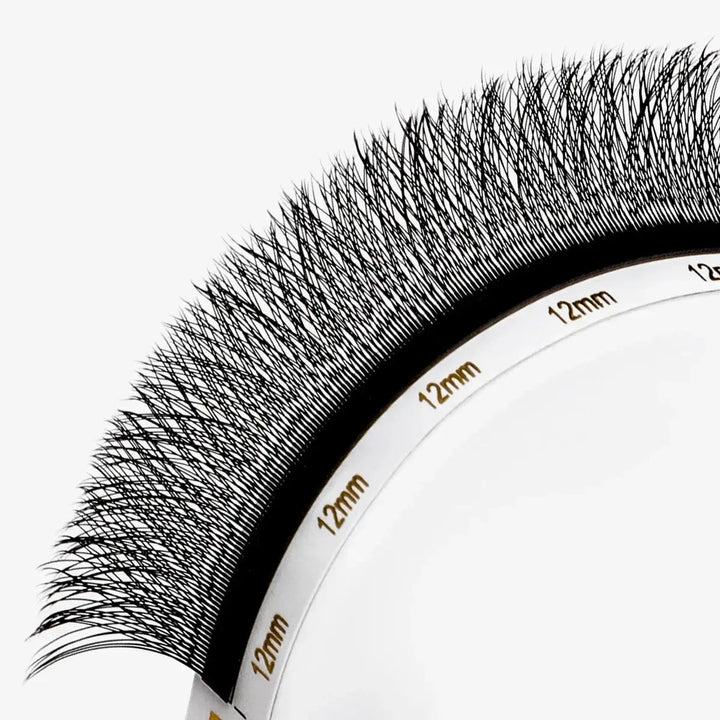 3D W - shape Clover Lashes 0.07mmSwaniyalashes