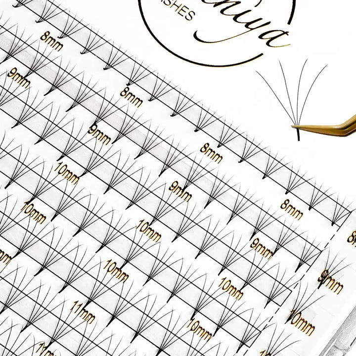 4D Premade Lash Fans (240 pcs) - Swaniyalashes