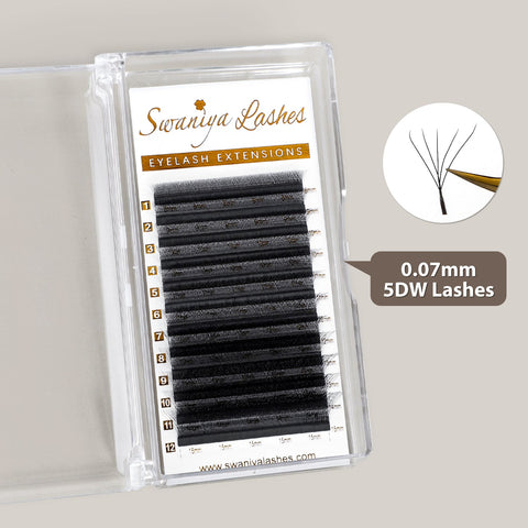 5D W-Shape Clover Lash Extensions 0.07mm | Fluffy Volume