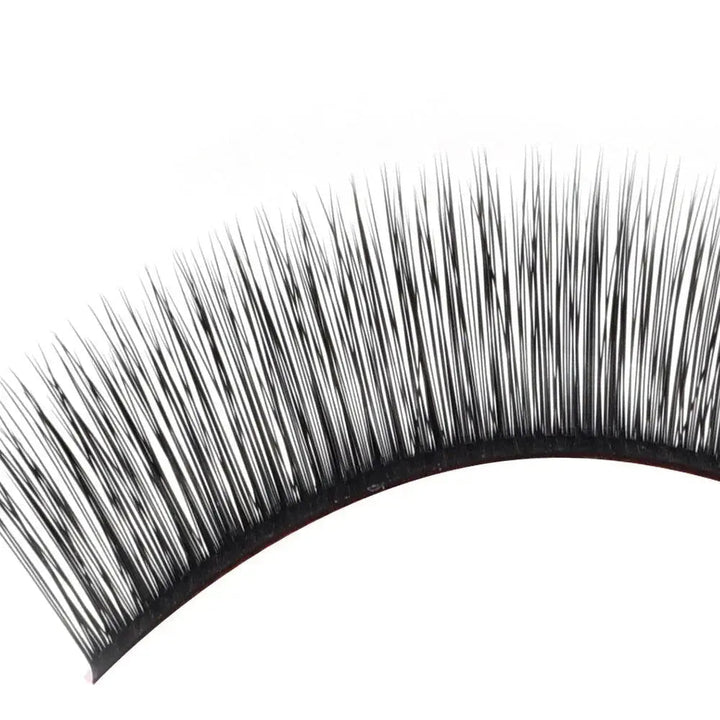 5D Fluffy Camellia Lashes 0.07mmSwaniyalashes
