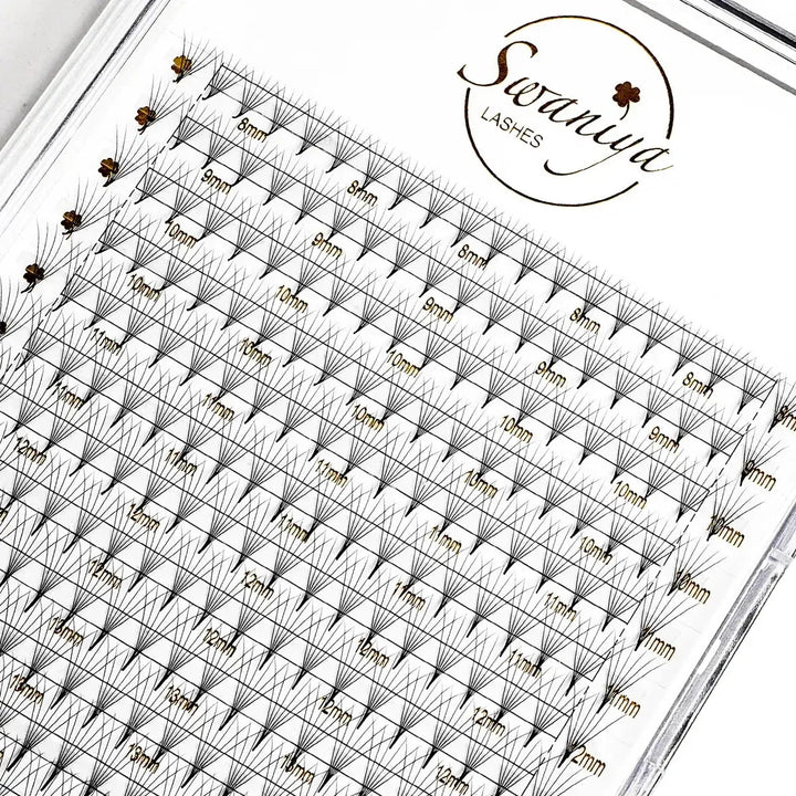 6D Premade Fans Lash Extensions 240 pcs - Swaniyalashes