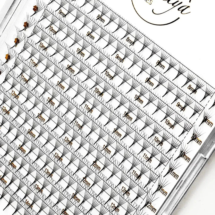 6D Premade Fans Lash Extensions 240 pcs - Swaniyalashes
