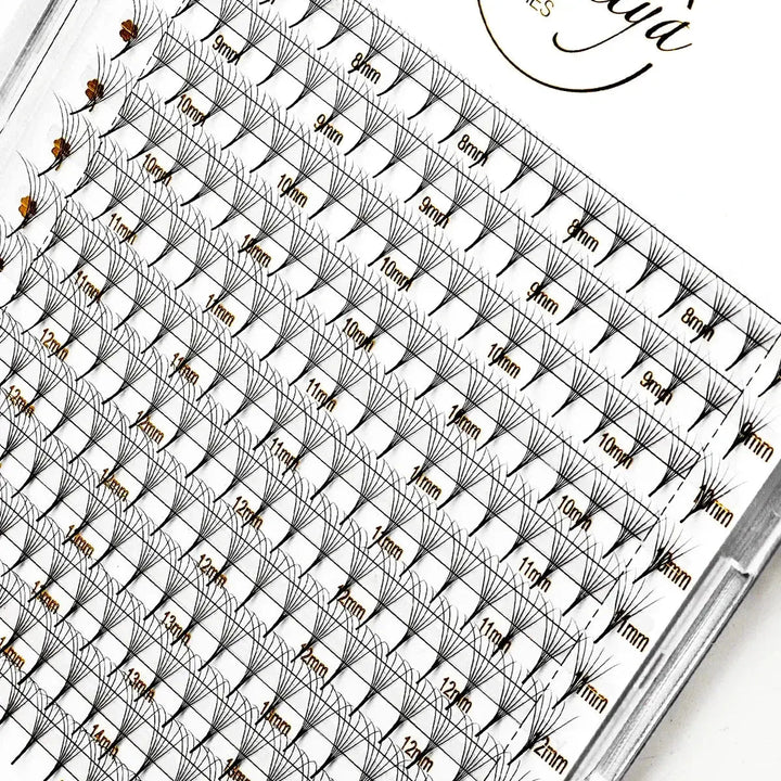 6D Premade Fans Lash Extensions 240 pcsPremade LashesSwaniyalashes