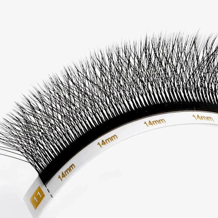 7D W Shape Lashes 0.07mmEyelash ExtensionsSwaniyalashes
