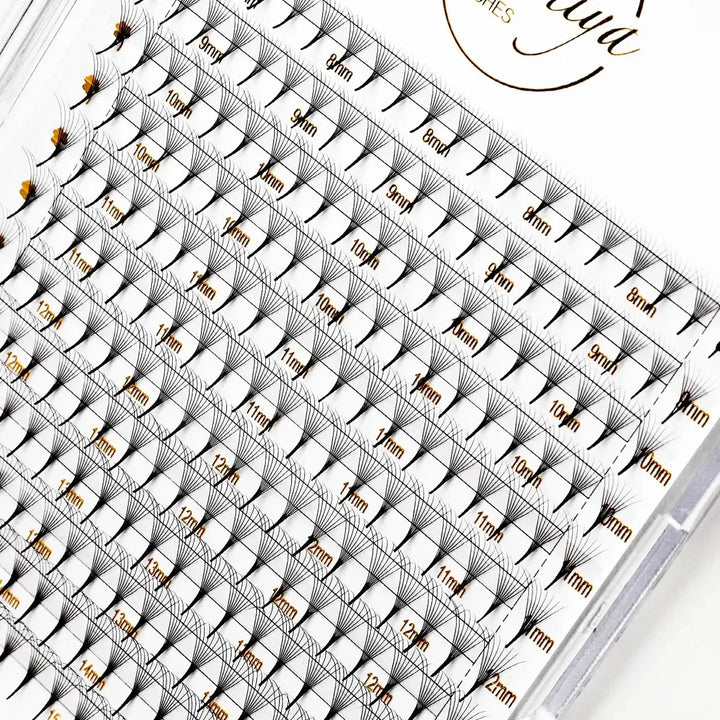 8D Premade Lashes (240 Fans) - Swaniyalashes