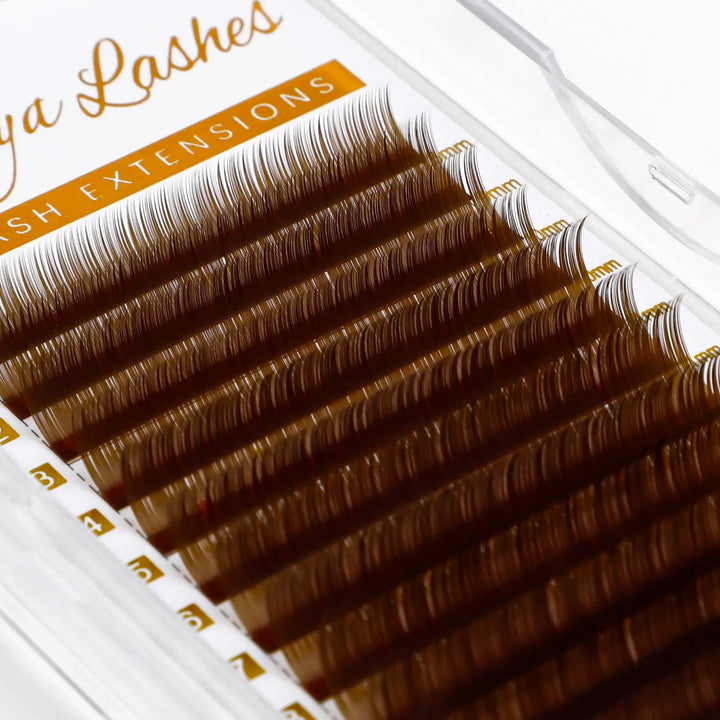 Ash Brown Lashes  Swaniyalashes