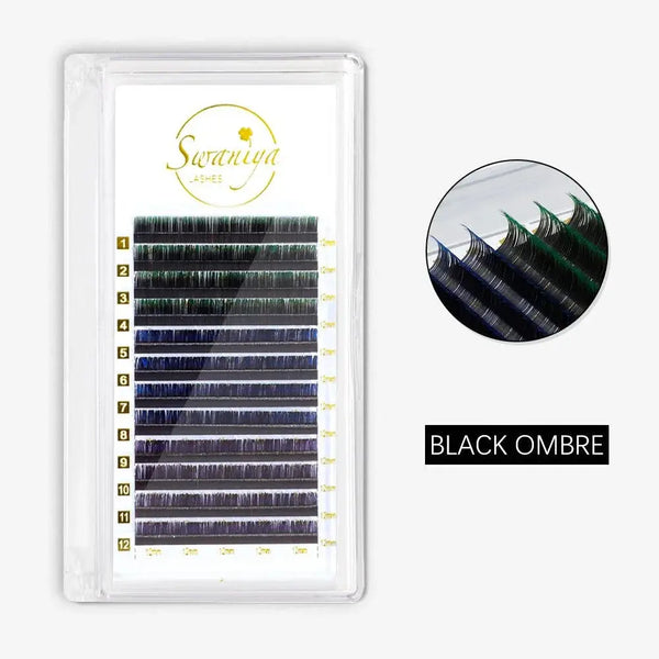 Black Ombre Lashes 0.07mm  Swaniyalashes