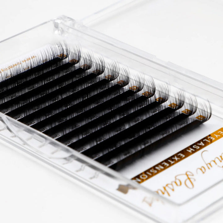 Camellia Lashes  Swaniyalashes