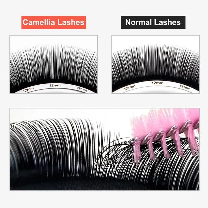 Camellia Lashes  Swaniyalashes