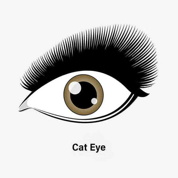 Cat Eye Lashes Kit  Swaniyalashes