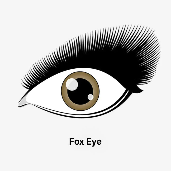 Fox Eye Lashes Kit  Swaniyalashes