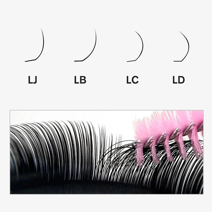 Camellia Lash Extensions LJ LB LD LC Curl | Fluffy Volume - Swaniya ...