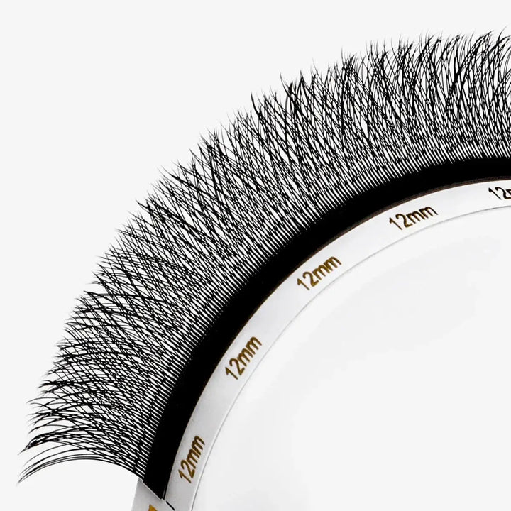 3D W-shape Clover Lashes 0.07mm - Swaniyalashes