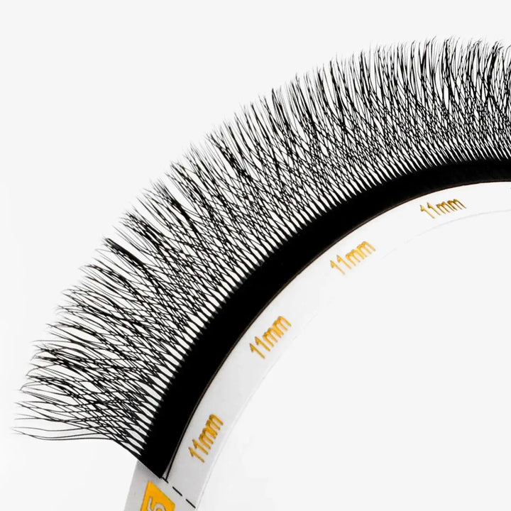 5D W-Shape Clover Lashes 0.07mm - Swaniyalashes