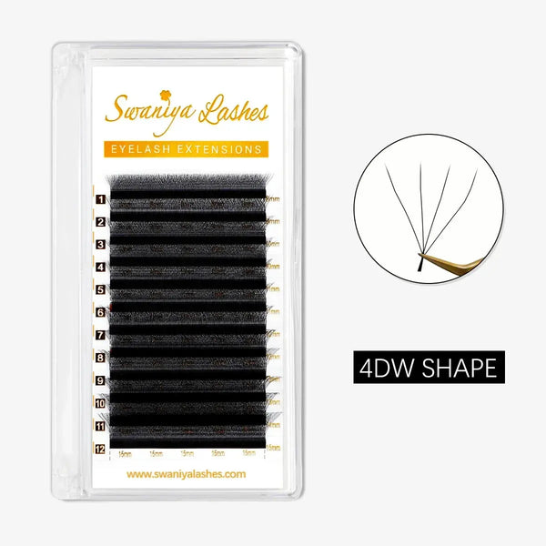 4D W Lashes 0.07mm - Swaniyalashes