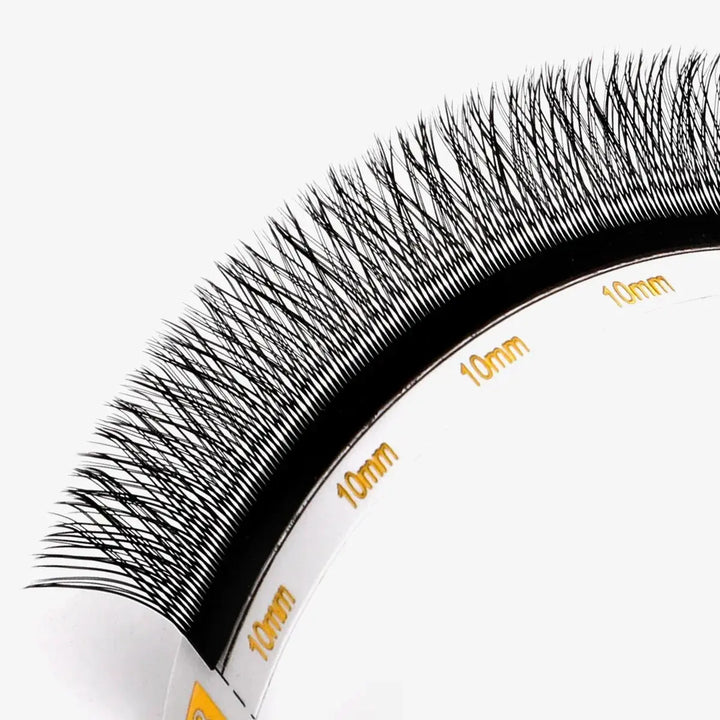 YY Lashes 0.05mm - Swaniyalashes