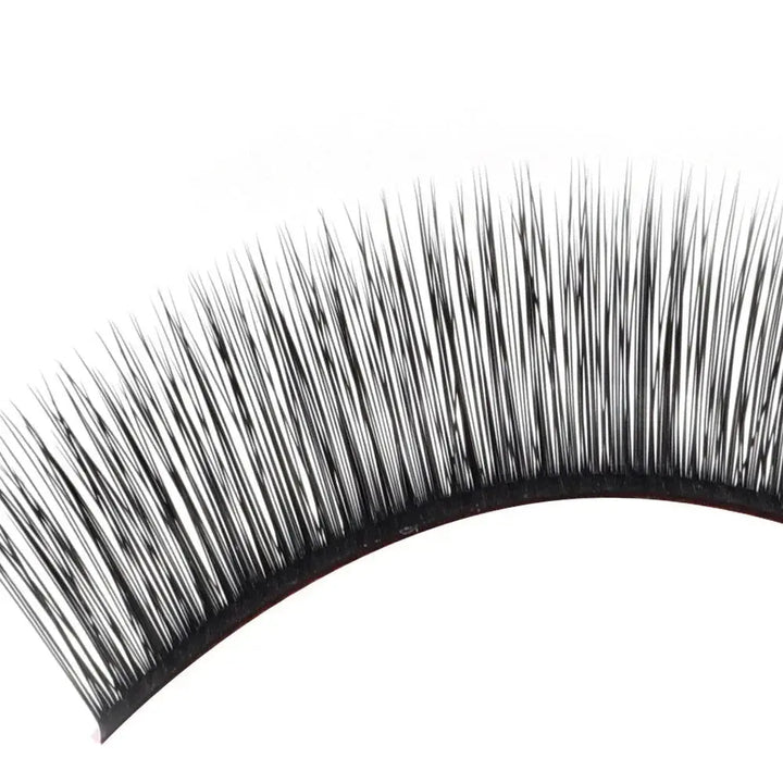5D Fluffy Camellia Lashes 0.07mm - Swaniyalashes