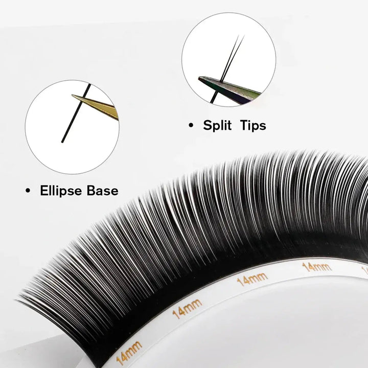 Ellipse Flat Lashes 0.20mmEyelash ExtensionsSwaniyalashes