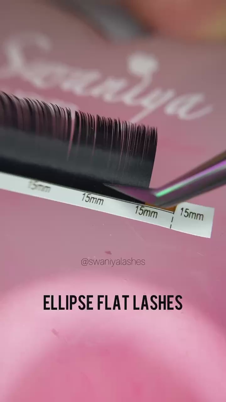 Ellipse Flat Lashes 0.20mm - Swaniyalashes