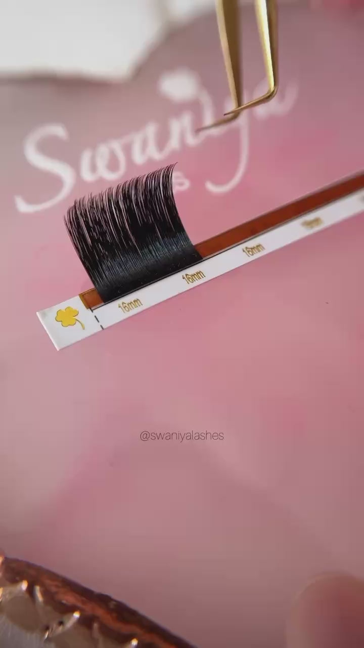 Easy Fan Lashes 0.05mm - Swaniyalashes
